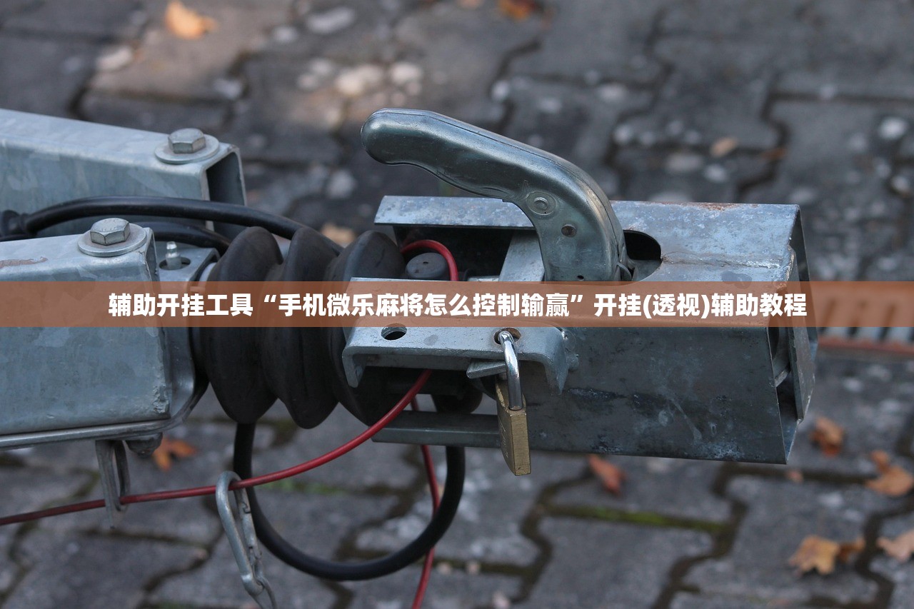 使用分享!手机打麻将胡牌神器”开挂(透视)辅助神器