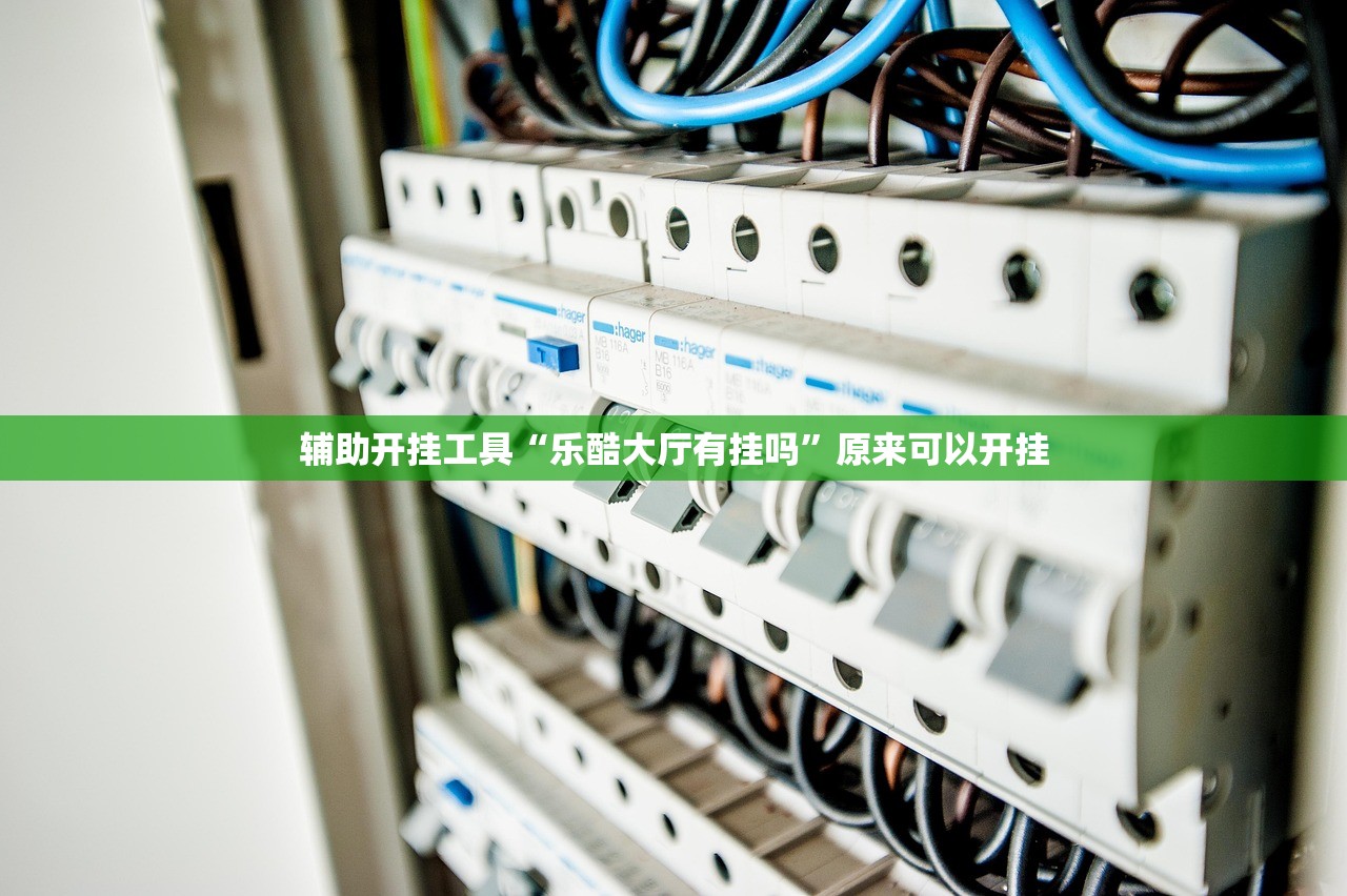 辅助开挂工具“乐酷大厅有挂吗”原来可以开挂