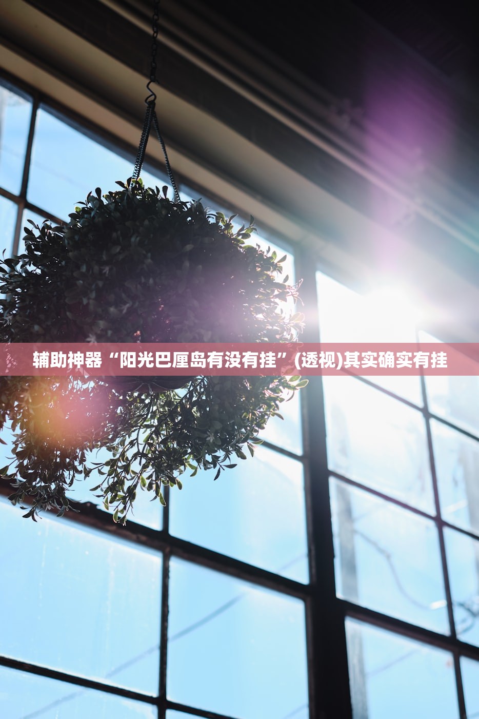 辅助神器“阳光巴厘岛有没有挂”(透视)其实确实有挂