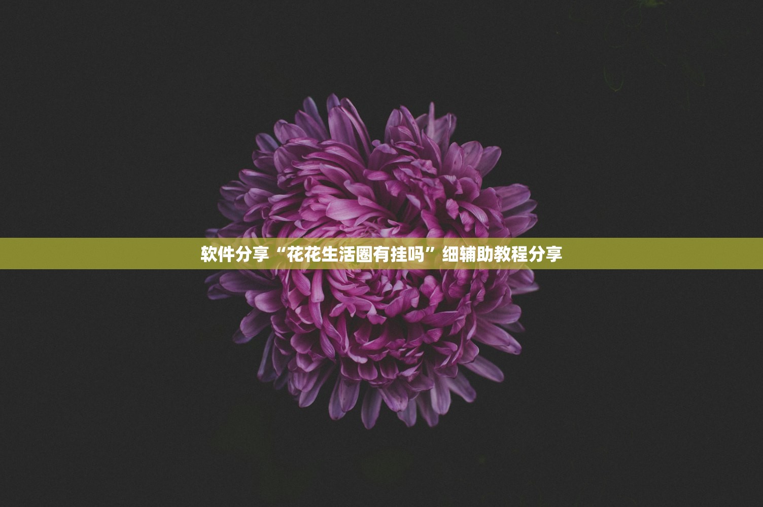 软件分享“花花生活圈有挂吗	”细辅助教程分享