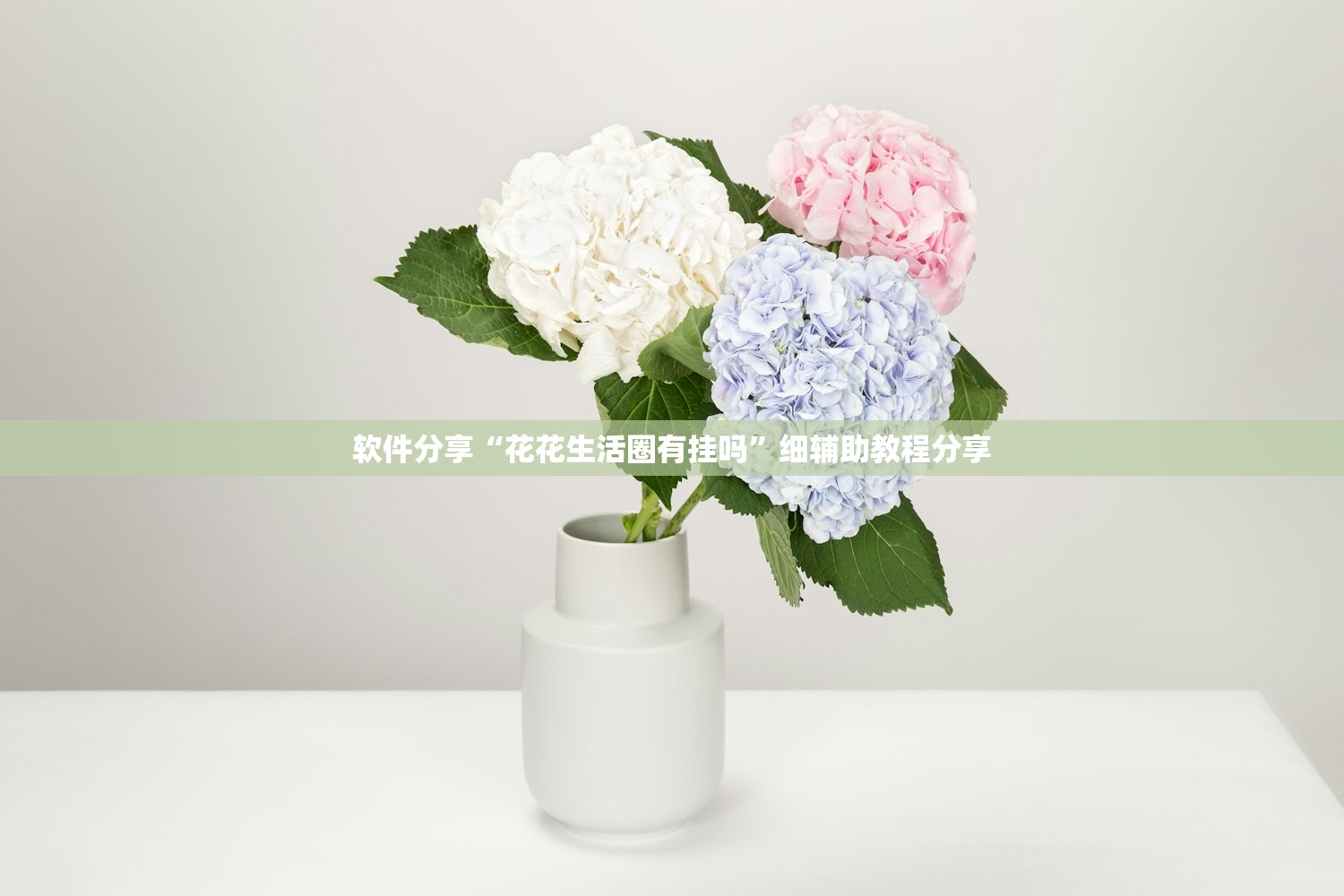 软件分享“花花生活圈有挂吗”细辅助教程分享