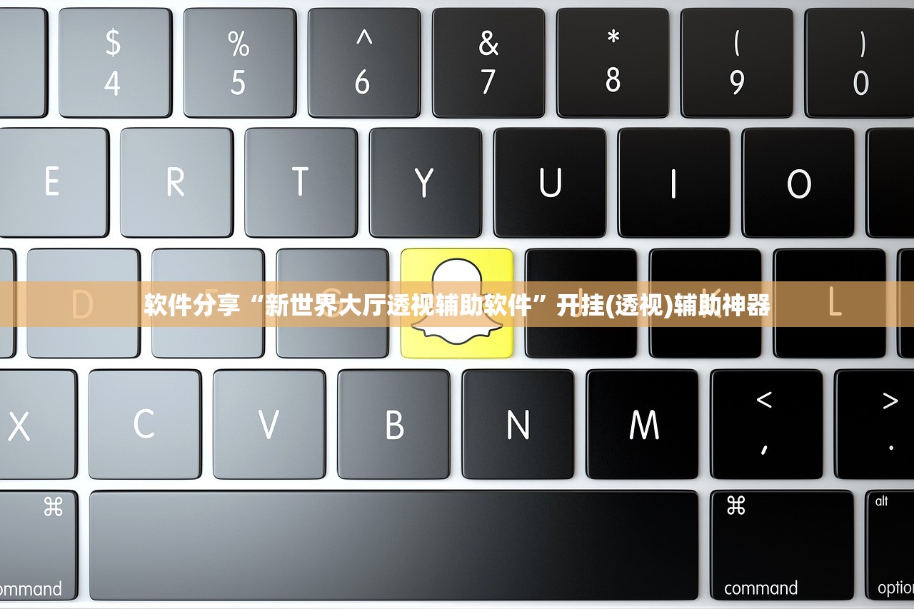 软件分享“新世界大厅透视辅助软件	”开挂(透视)辅助神器