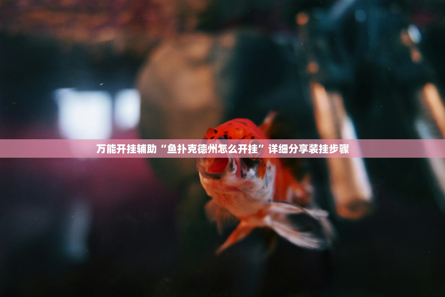 必备科技“微乐卡五星万能开挂器下载安装”细辅助教程分享