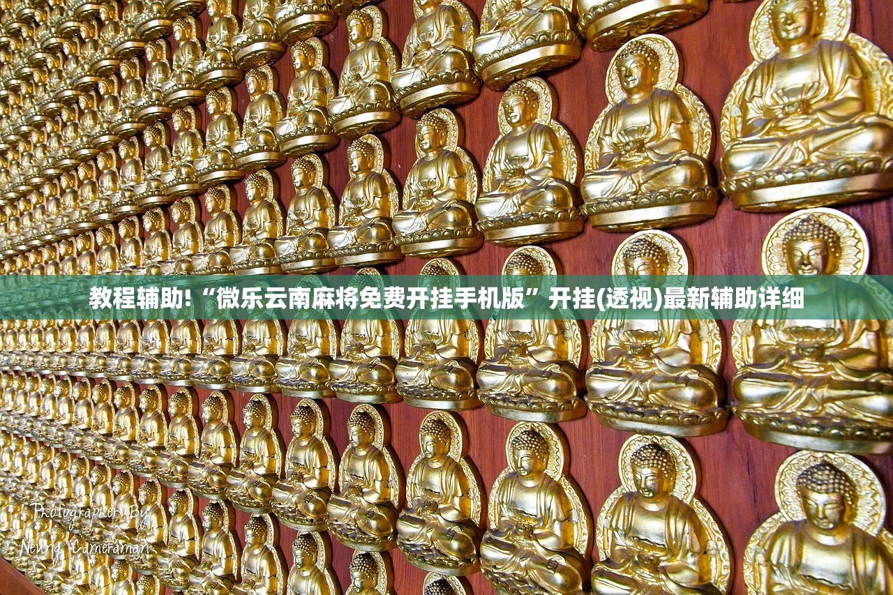 教程辅助!“微乐云南麻将免费开挂手机版”开挂(透视)最新辅助详细