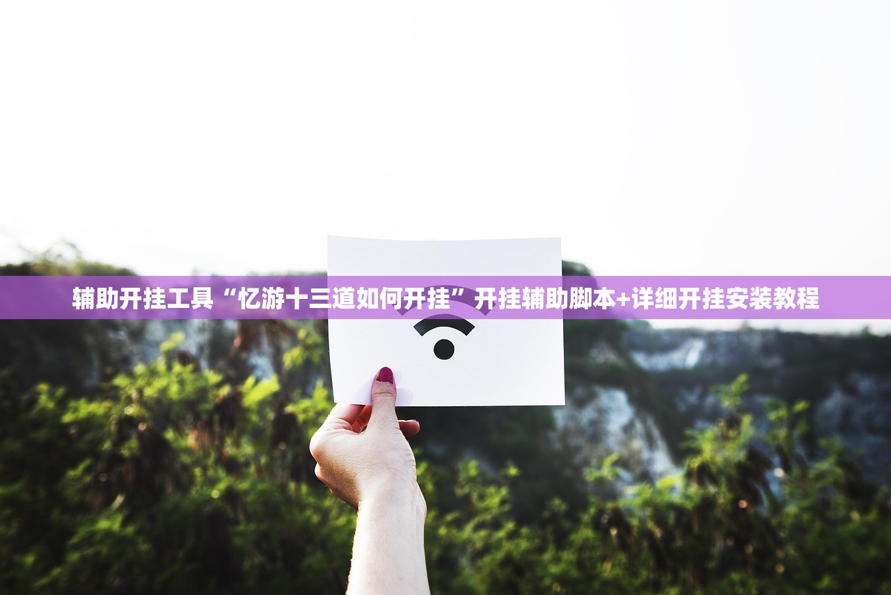 辅助开挂工具“忆游十三道如何开挂”开挂辅助脚本+详细开挂安装教程