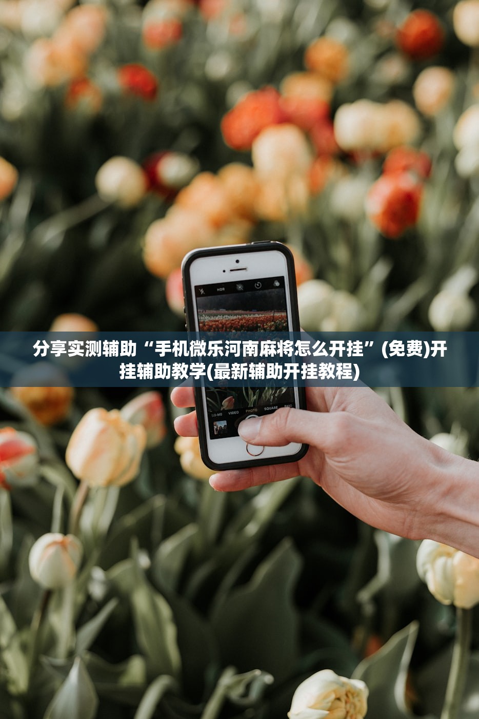分享实测辅助“手机微乐河南麻将怎么开挂”(免费)开挂辅助教学(最新辅助开挂教程)