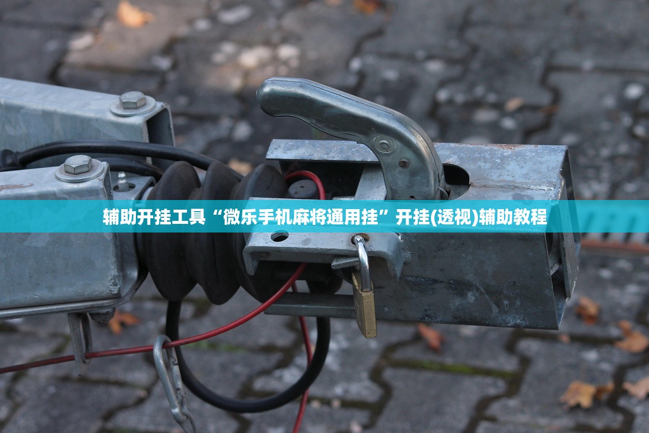 辅助开挂工具“微乐手机麻将通用挂	”开挂(透视)辅助教程