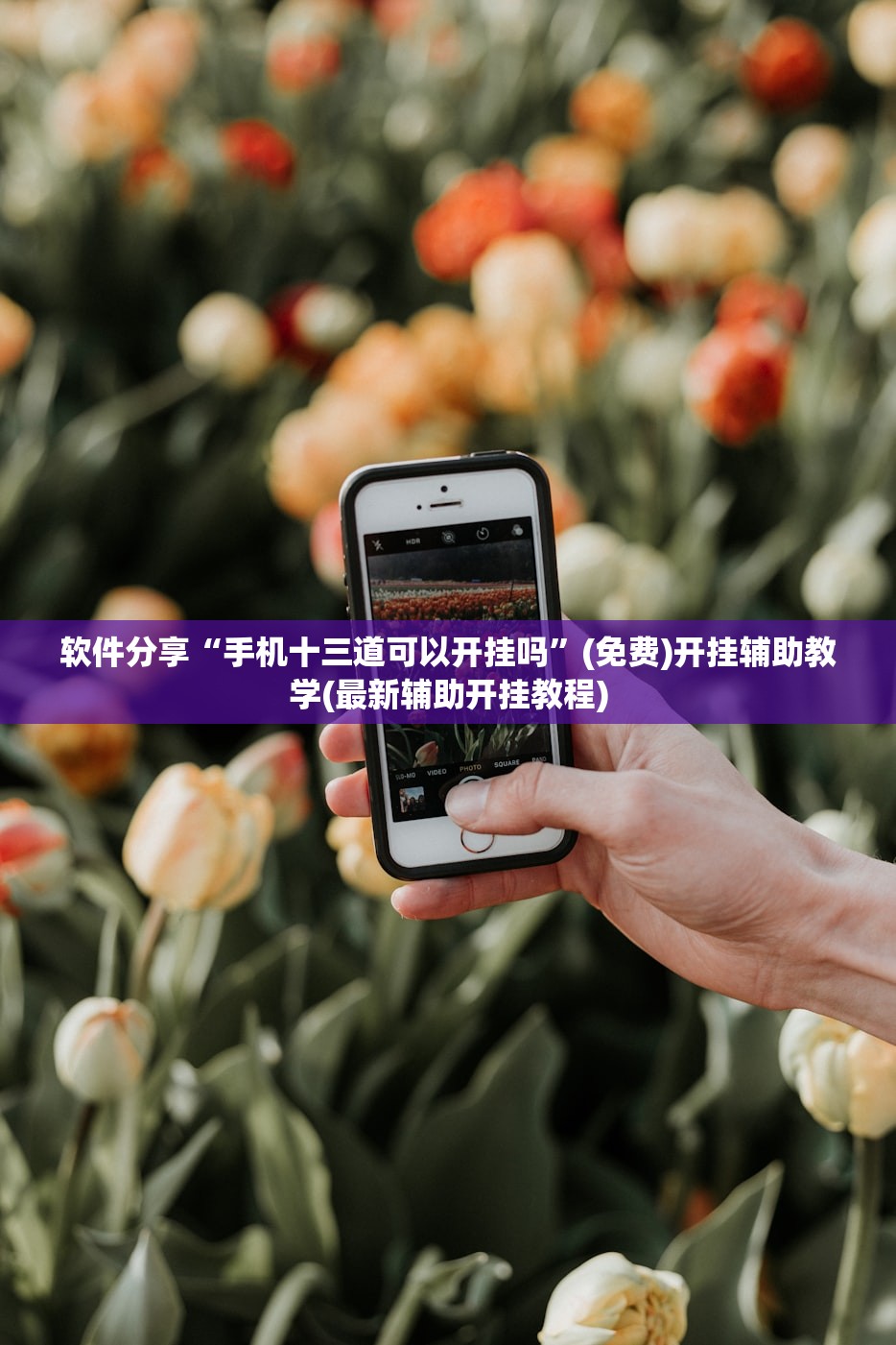 玩家辅助神器：边锋干瞪眼挂最简单处理方法”细辅助教程分享