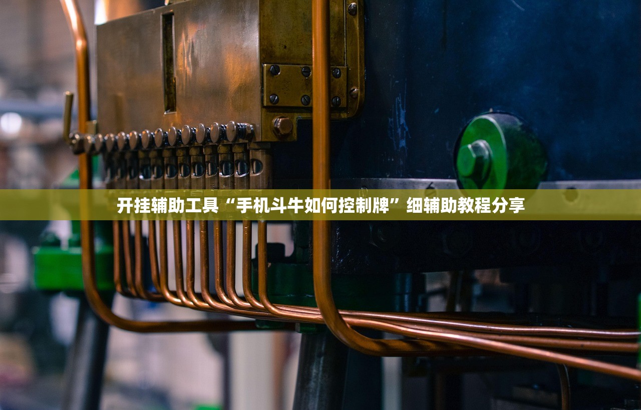 开挂辅助工具“手机斗牛如何控制牌	”细辅助教程分享