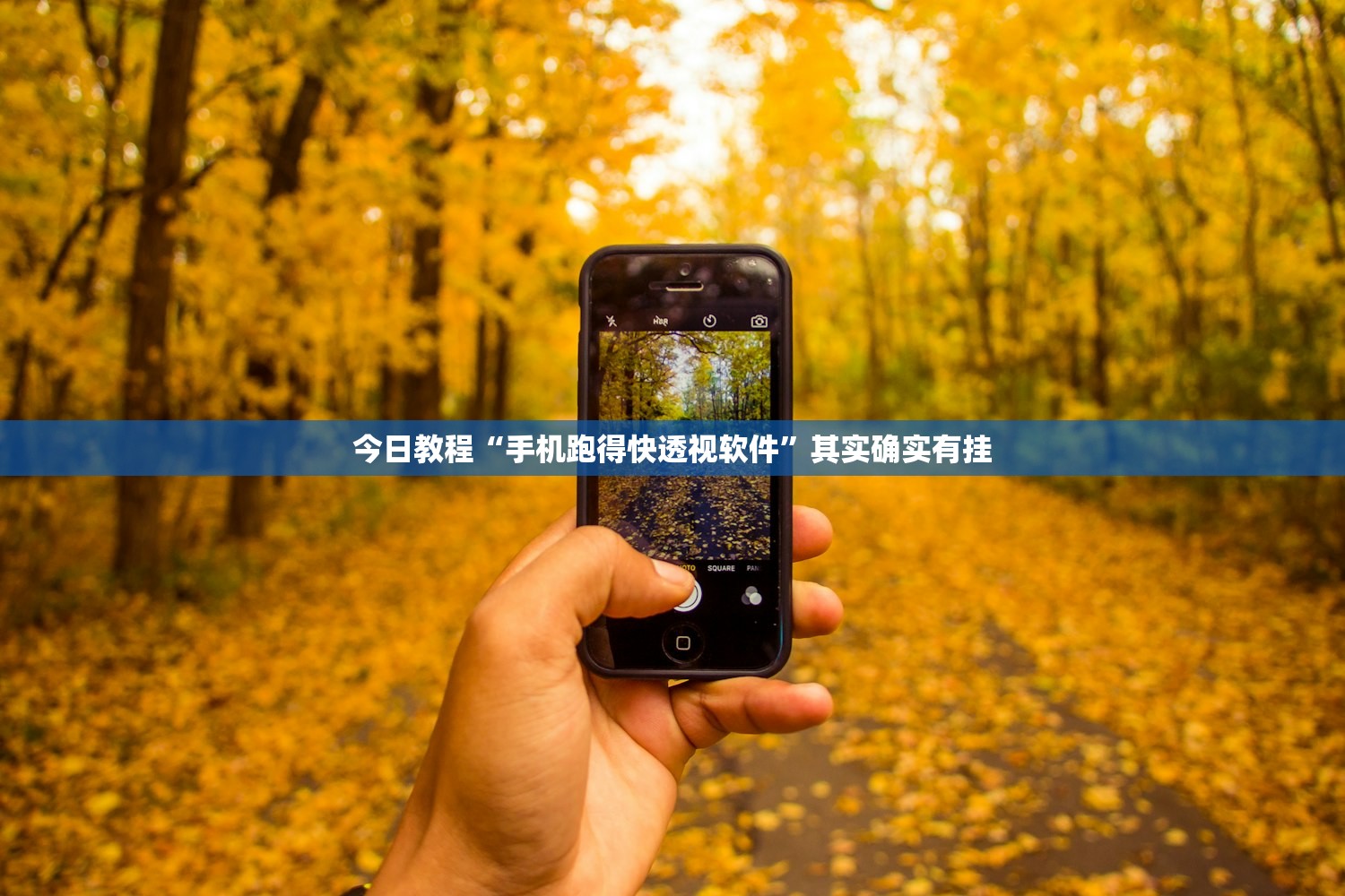 今日教程“手机跑得快透视软件	”其实确实有挂