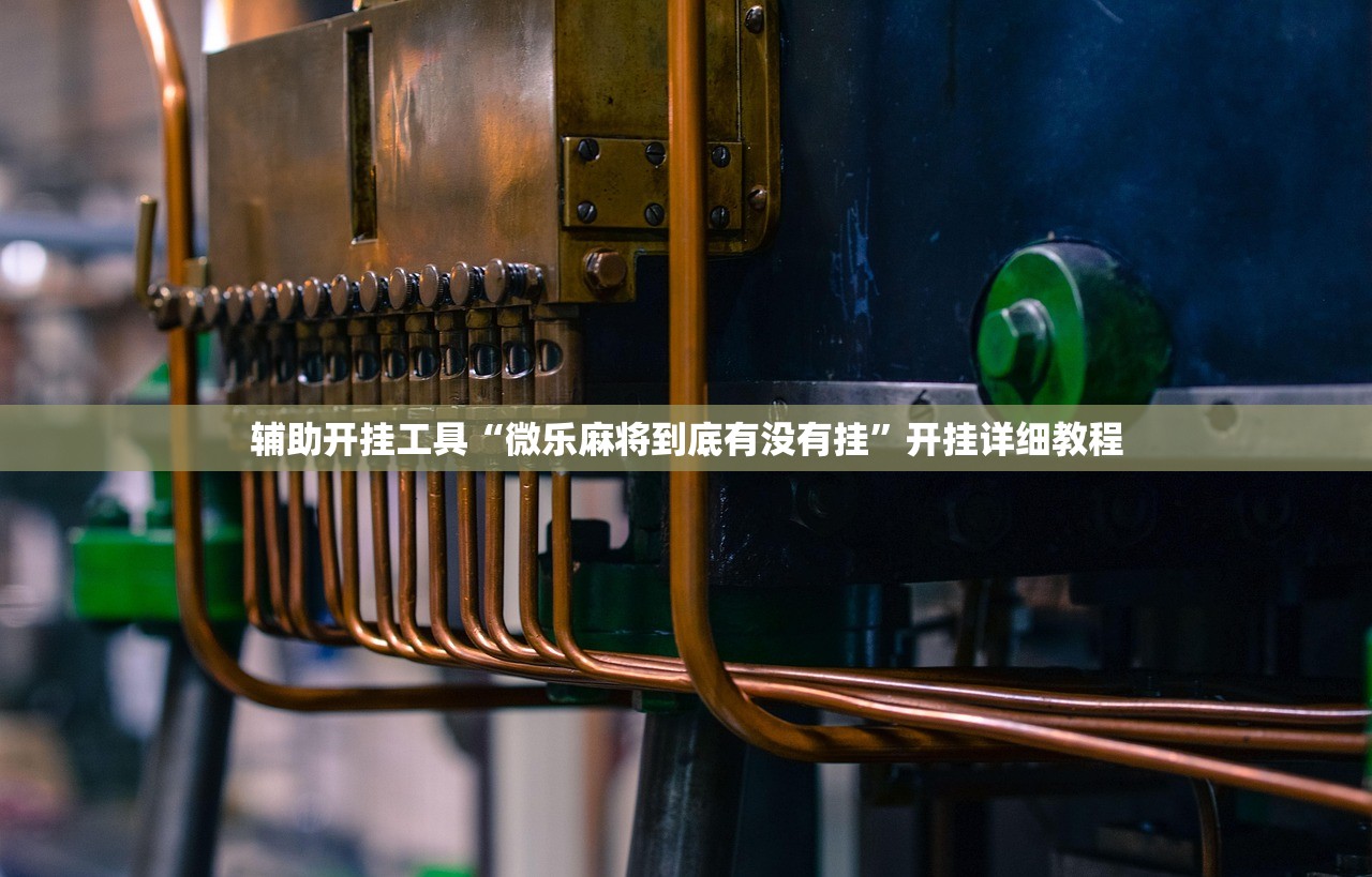 辅助开挂工具“微乐麻将到底有没有挂”开挂详细教程