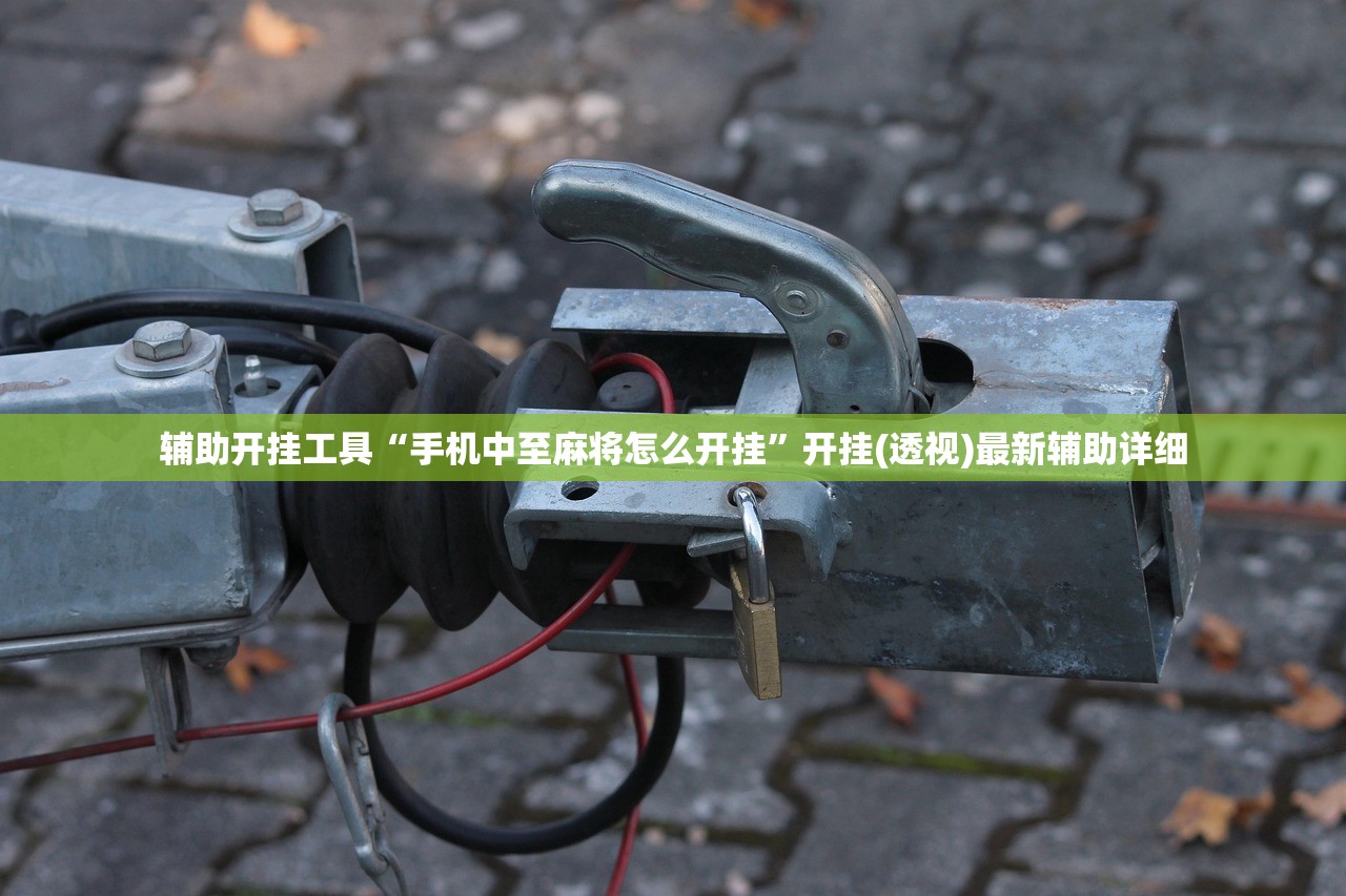 辅助开挂工具“手机中至麻将怎么开挂”开挂(透视)最新辅助详细