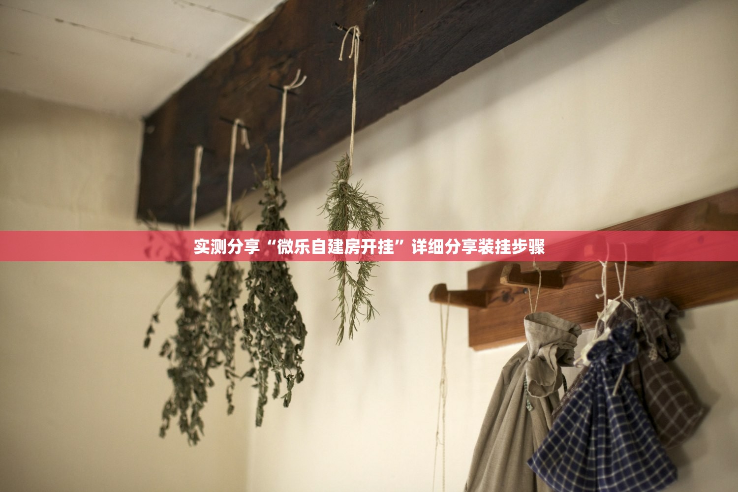 教程分享“闲逸碰胡有没有挂”(透视挂)辅助下载教程