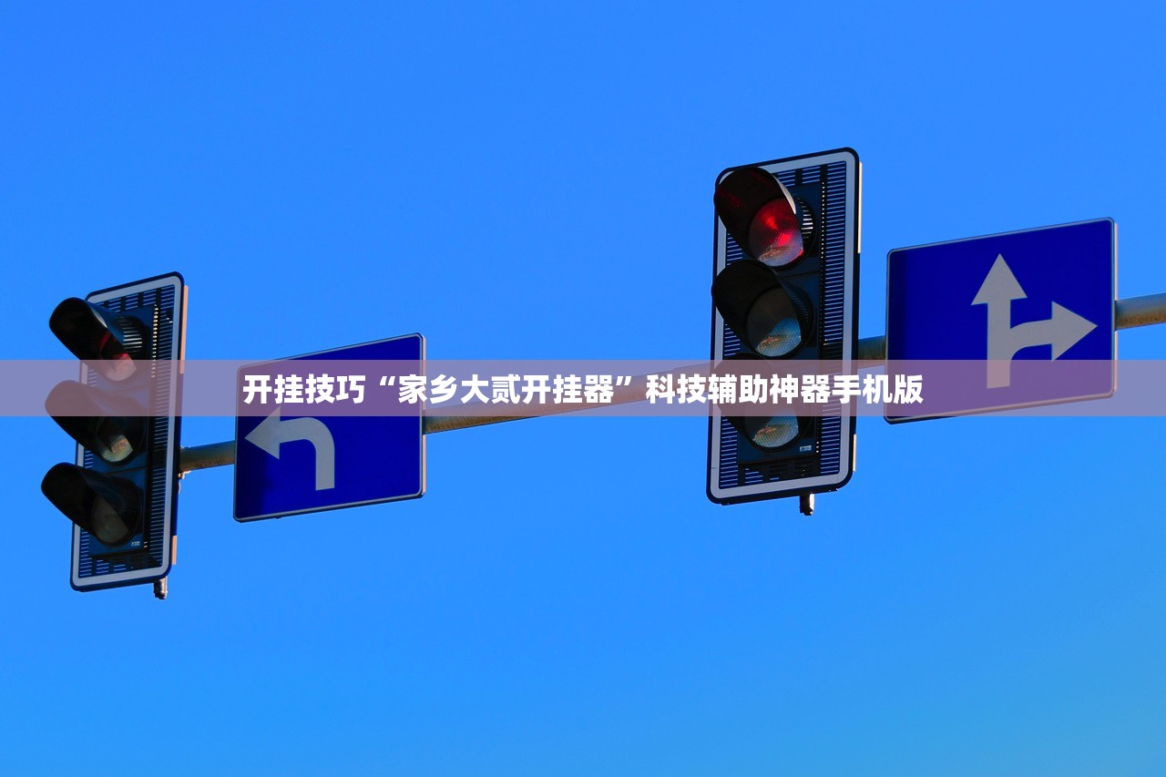 开挂技巧“家乡大贰开挂器”科技辅助神器手机版
