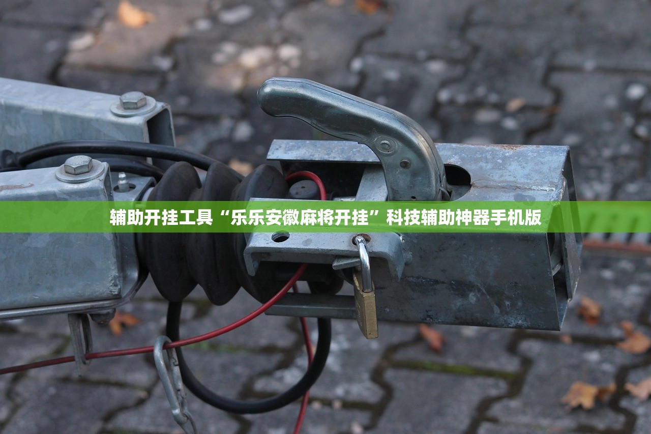 辅助开挂工具“乐乐安徽麻将开挂”科技辅助神器手机版