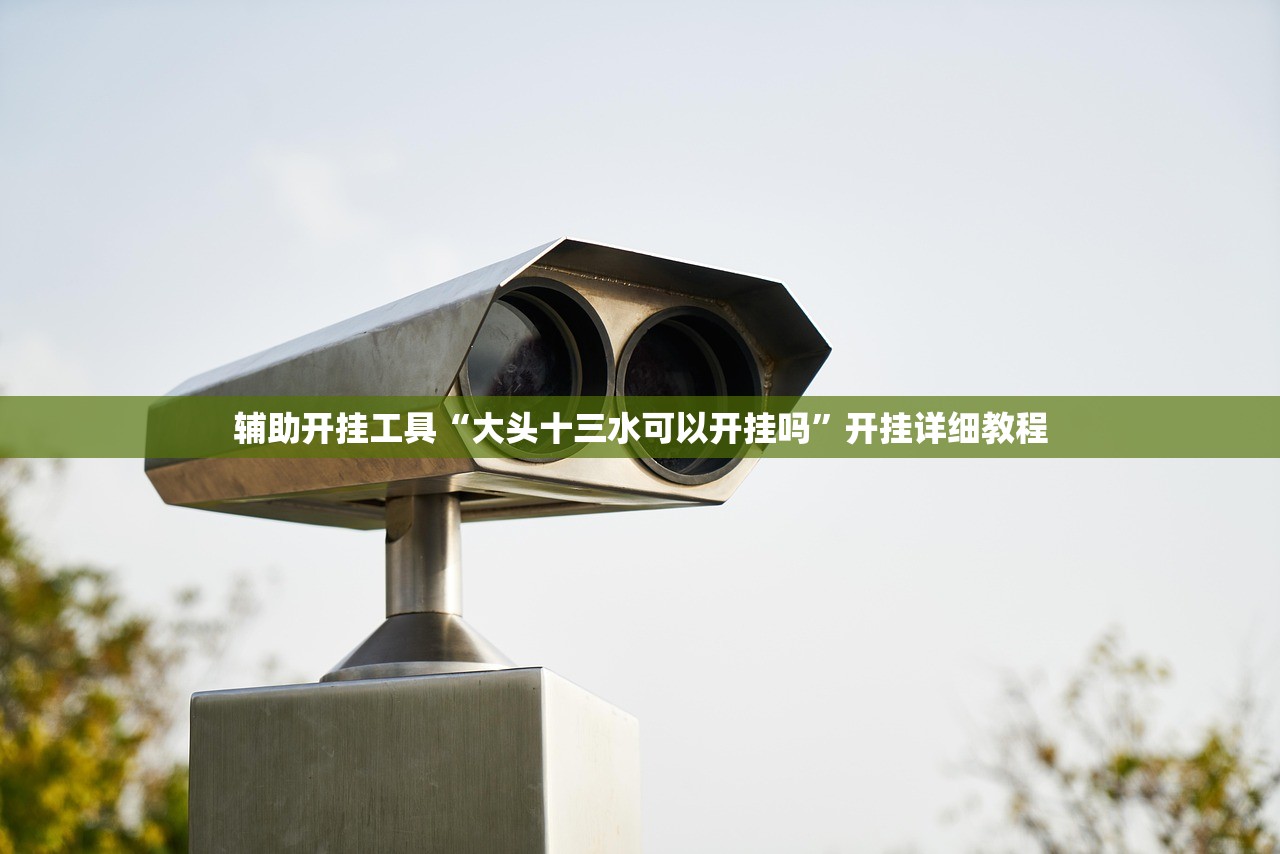 辅助开挂工具“大头十三水可以开挂吗	”开挂详细教程