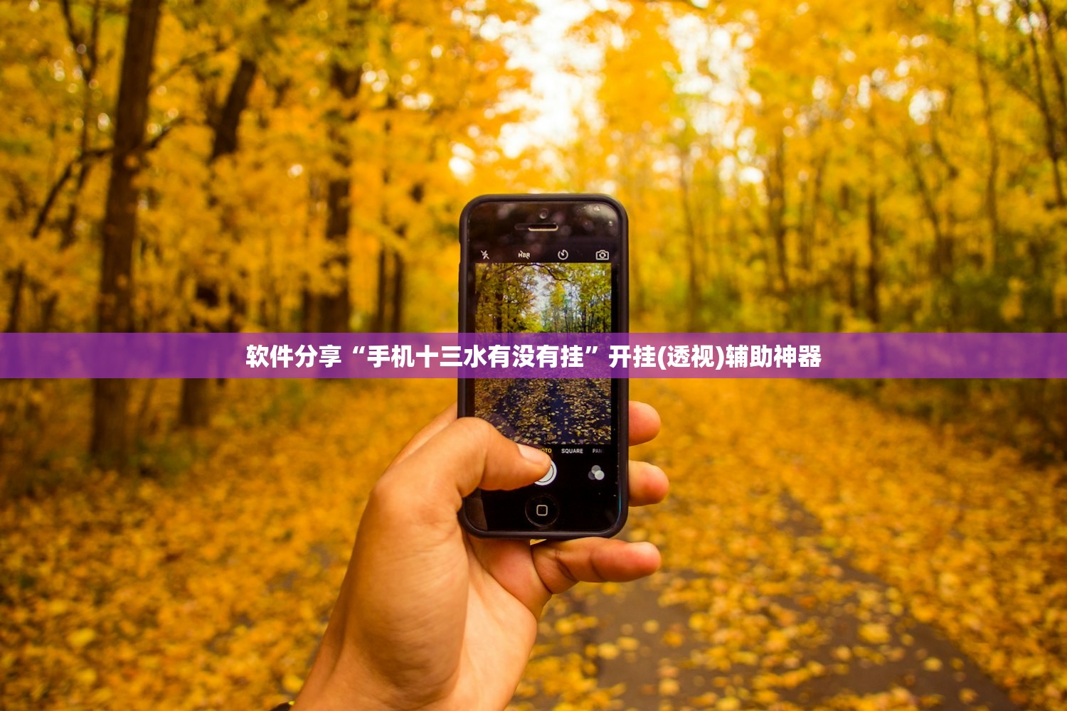 河南疫情最新信息:河南疫情最新消息实时情况