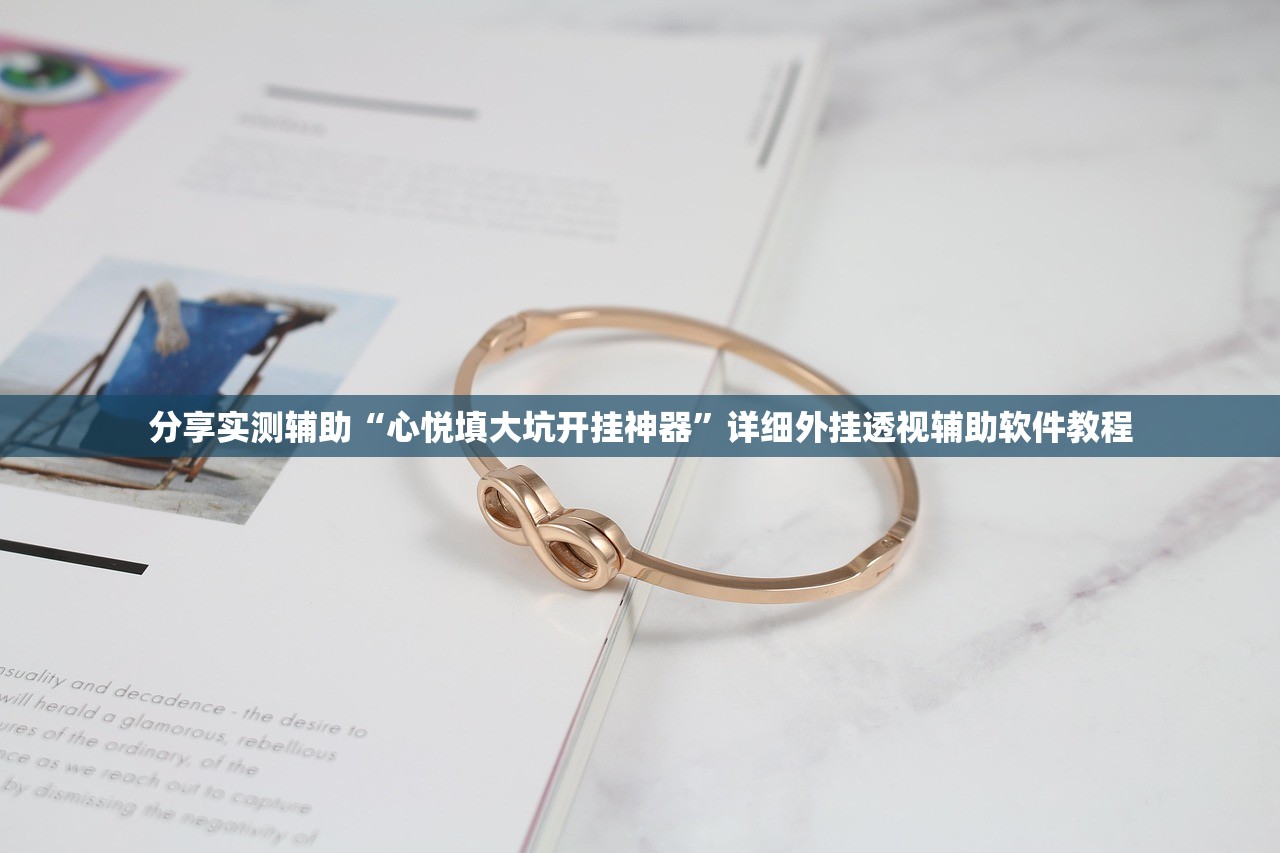 分享实测辅助“心悦填大坑开挂神器”详细外挂透视辅助软件教程