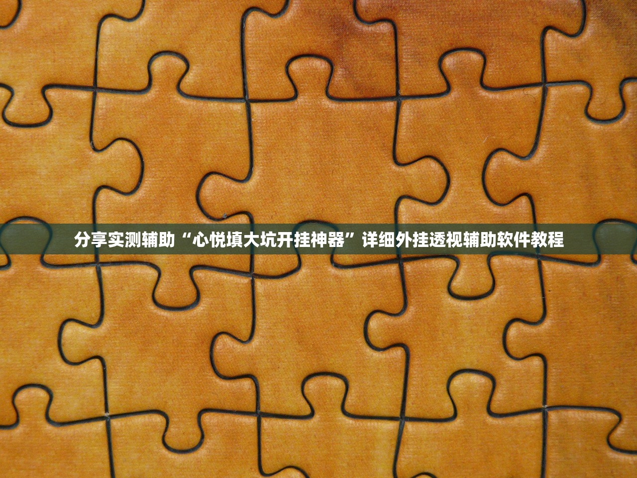 分享实测辅助“心悦填大坑开挂神器”详细外挂透视辅助软件教程