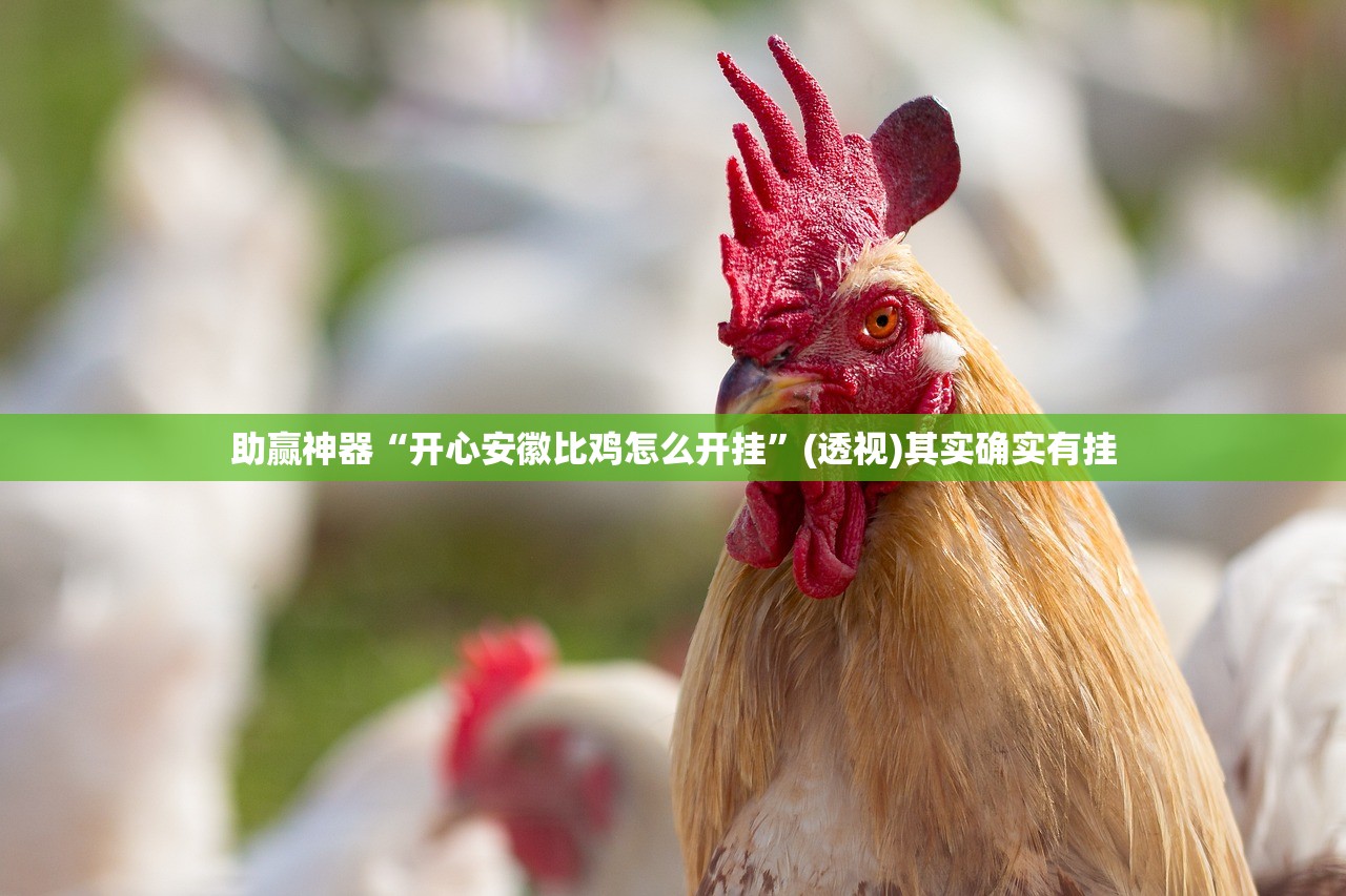 助赢神器“开心安徽比鸡怎么开挂”(透视)其实确实有挂