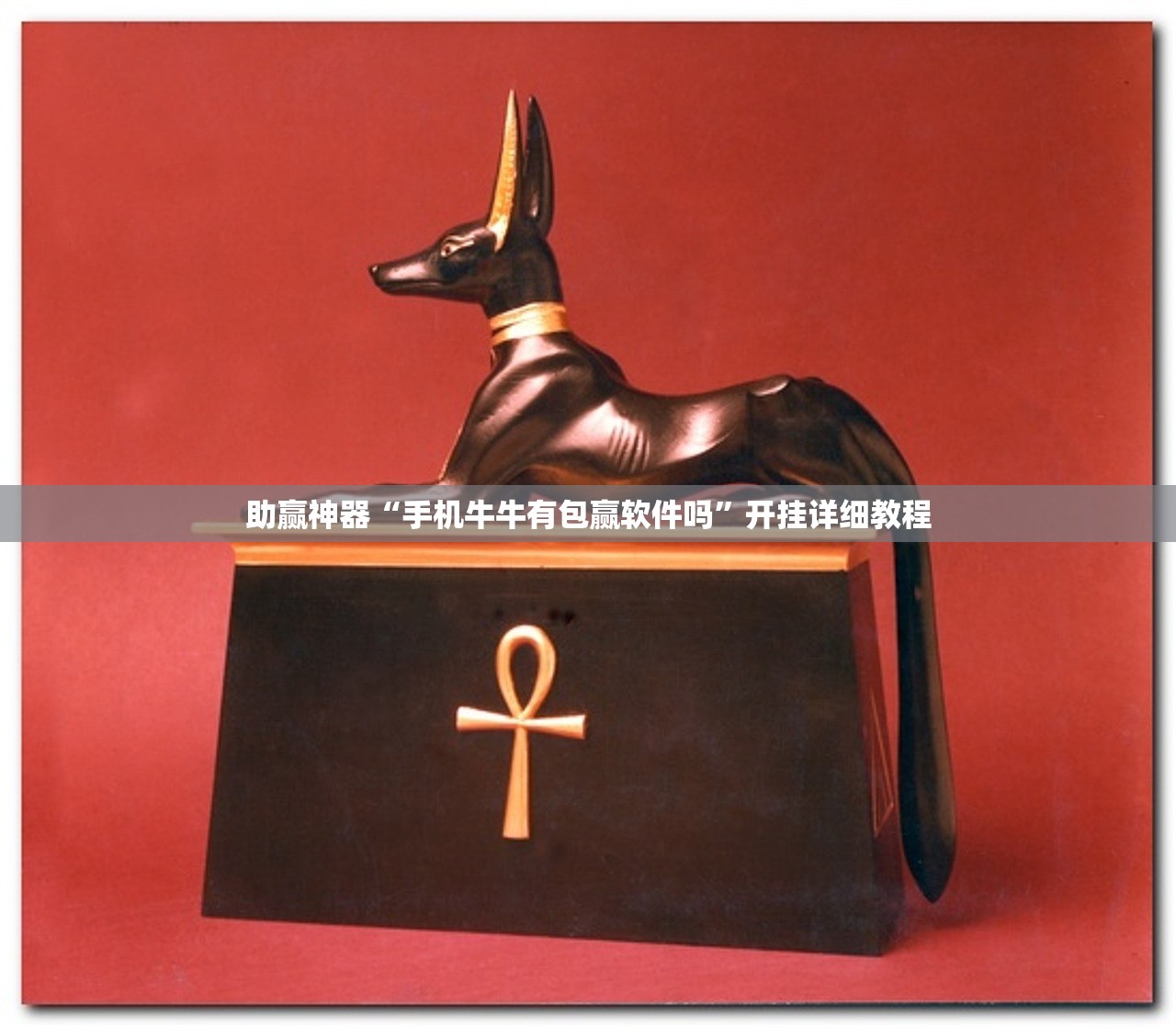 必备科技“哈狗十三道如何拿到好牌”开挂(透视)辅助神器