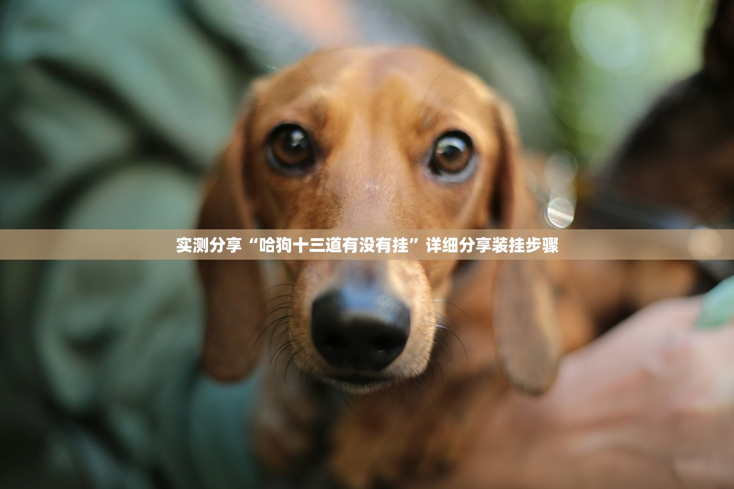 玩家辅助神器：手机微乐陕西麻将到底有没有挂”开挂辅助脚本+详细开挂安装教程
