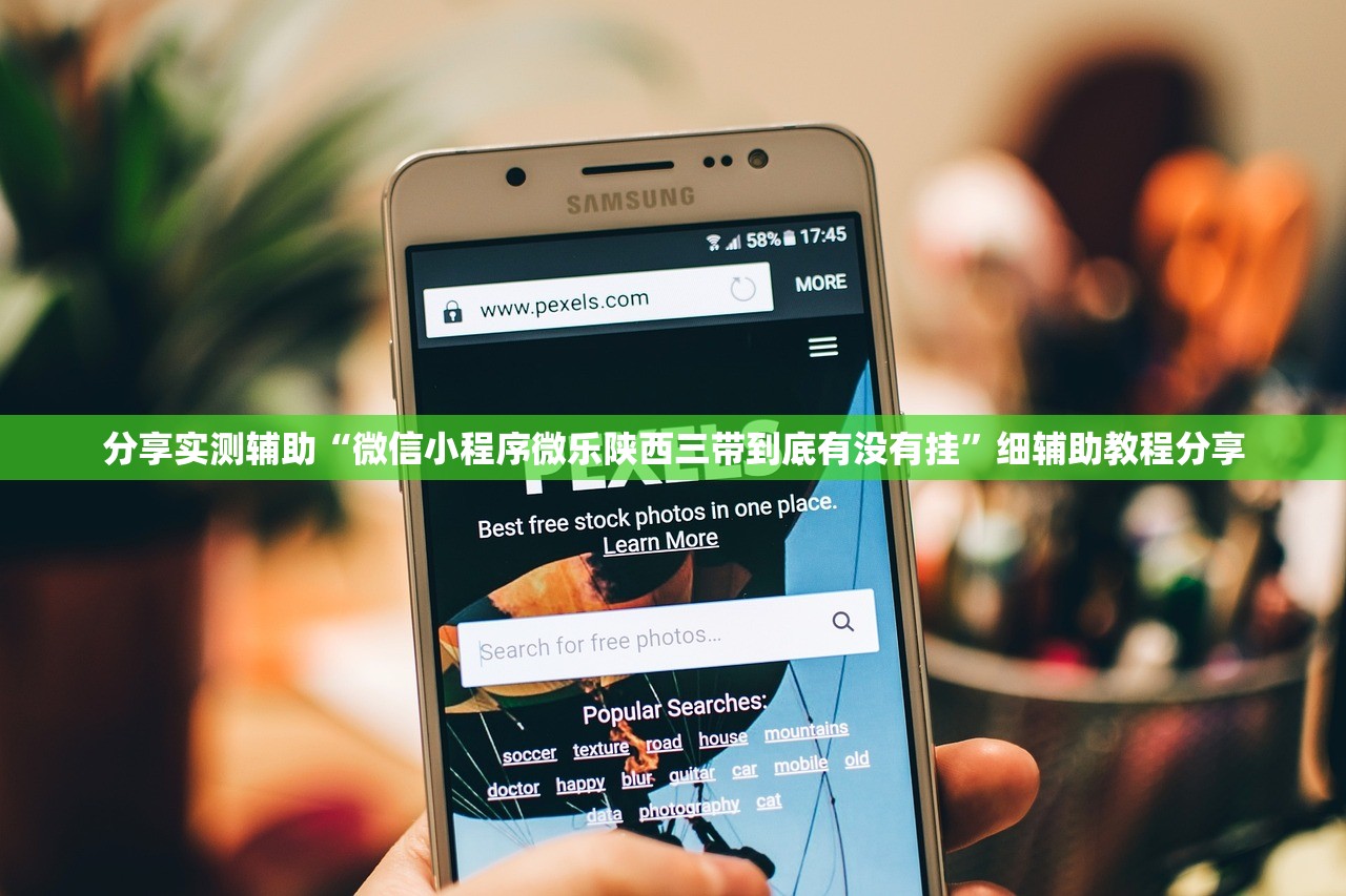 分享实测辅助“微信小程序微乐陕西三带到底有没有挂	”细辅助教程分享