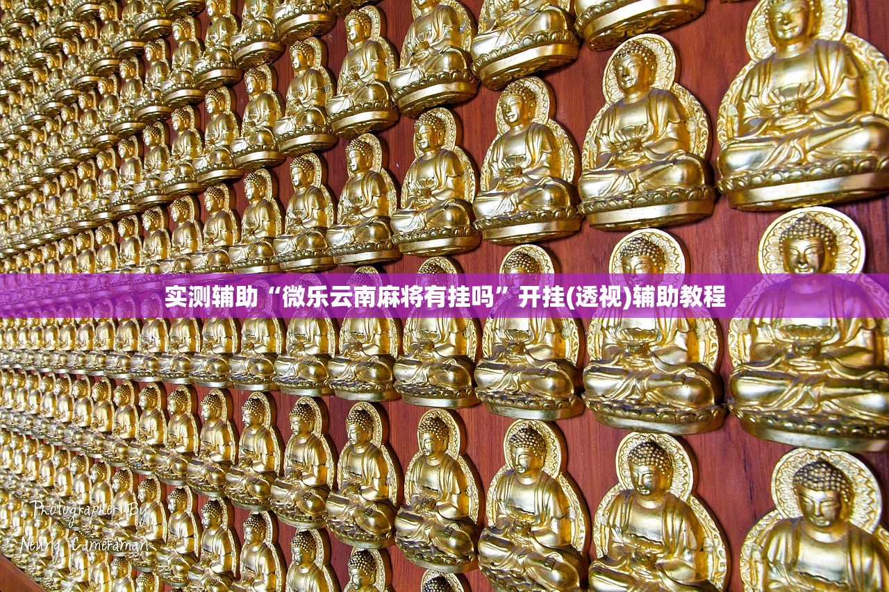 一键必胜“新海贝之城是不是有挂”开挂(透视)辅助神器