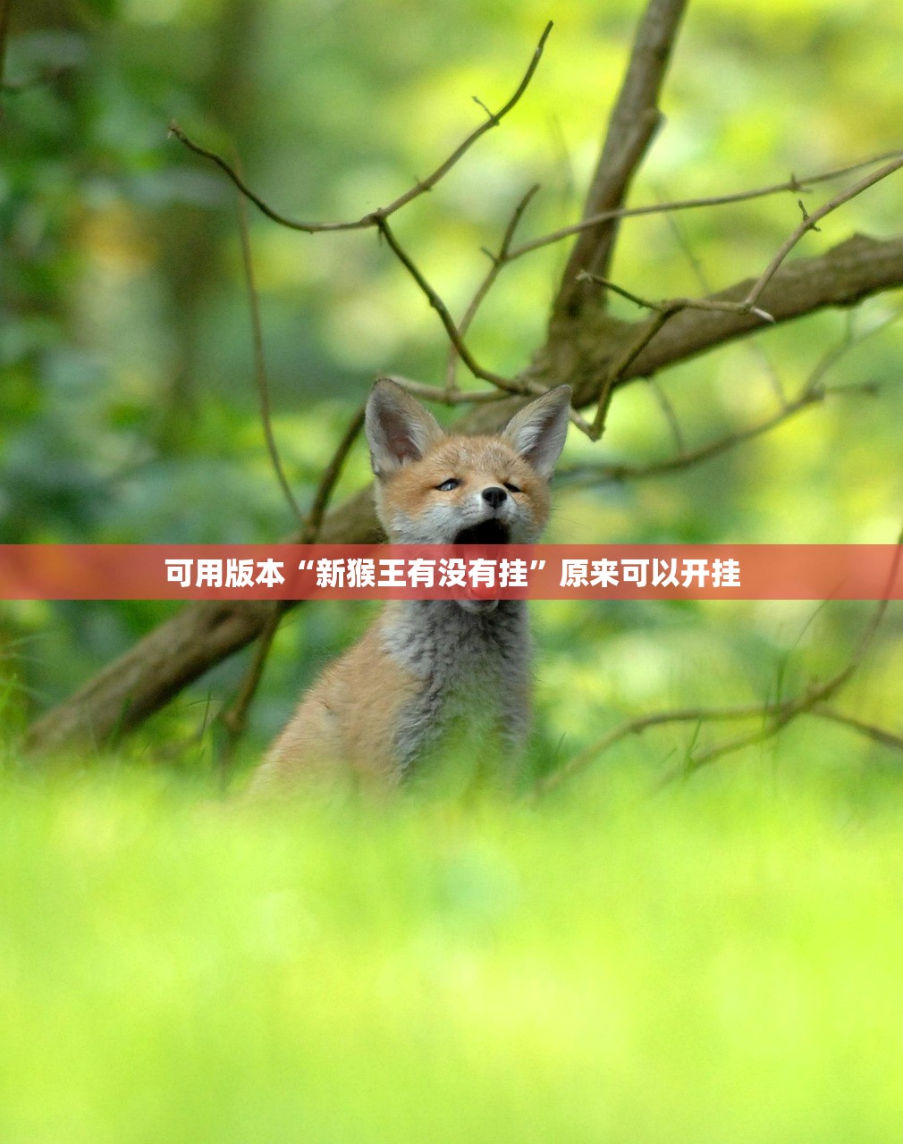 开挂技巧“微信拼三张金花挂”开挂(透视)辅助教程
