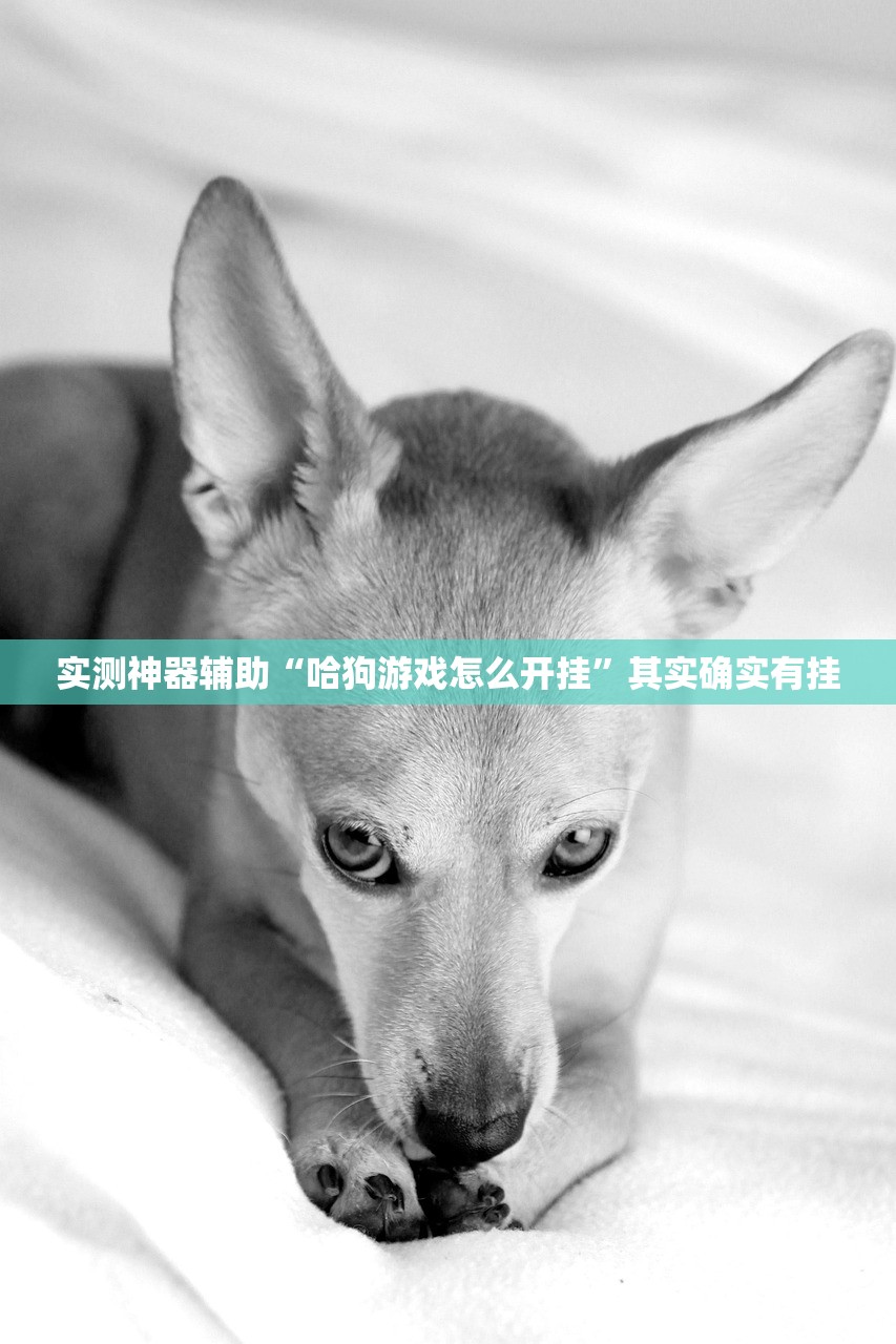 【新款福特/新款福特撼路者国内上市时间】
