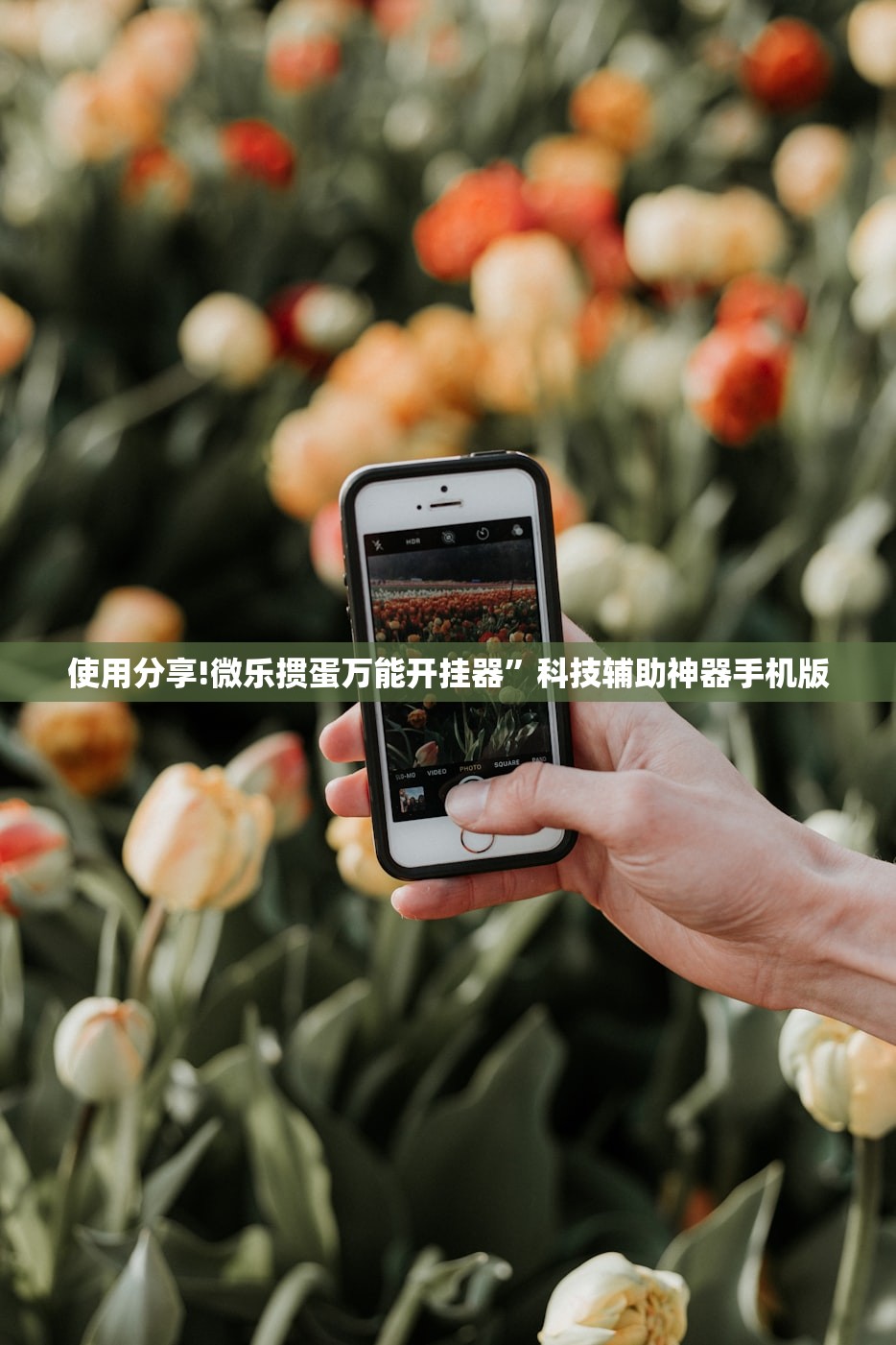 使用分享!微乐掼蛋万能开挂器”科技辅助神器手机版