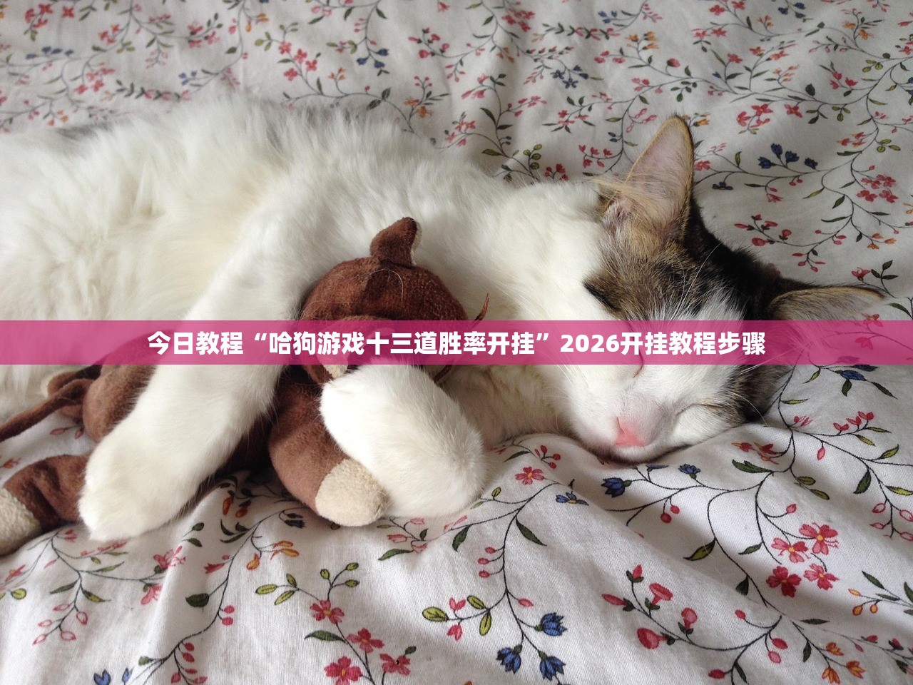 青岛：参与这场救援市民请就地静止/青岛24小时困境救援联系方式