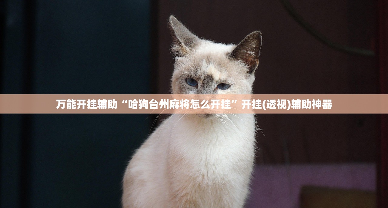 教程辅助!“微乐北京麻将开挂视频教程”详细外挂透视辅助软件教程