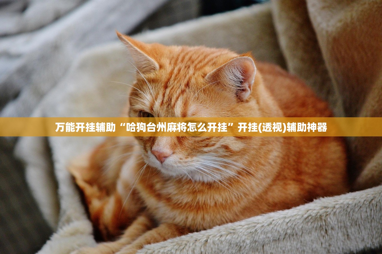 万能开挂辅助“哈狗台州麻将怎么开挂”开挂(透视)辅助神器