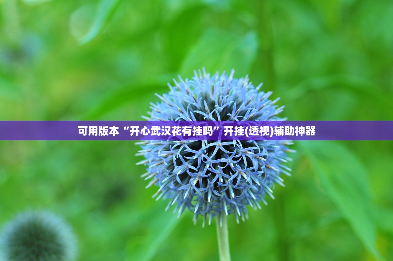 可用版本“开心武汉花有挂吗”开挂(透视)辅助神器