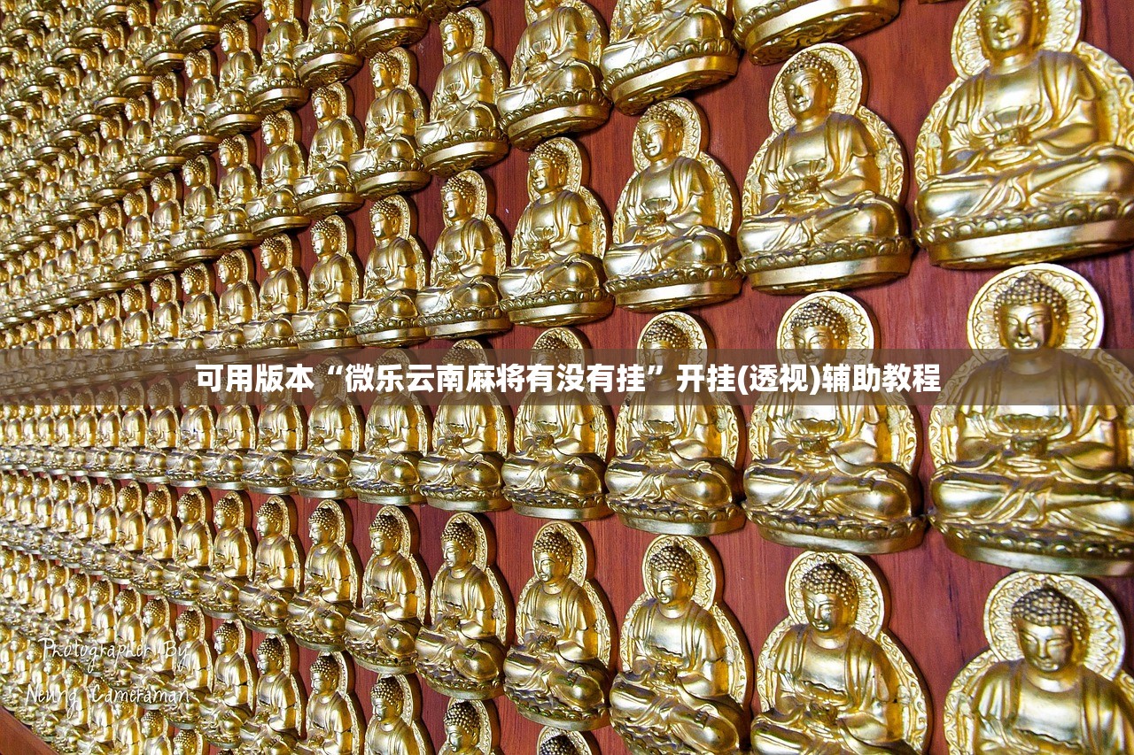 五菱电动车费用（五菱宏光四轮电动车费用及图片）
