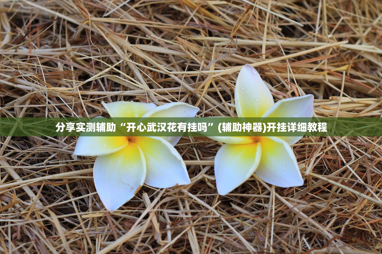 实测神器辅助“多乐跑胡子作弊辅助”详细开挂教程