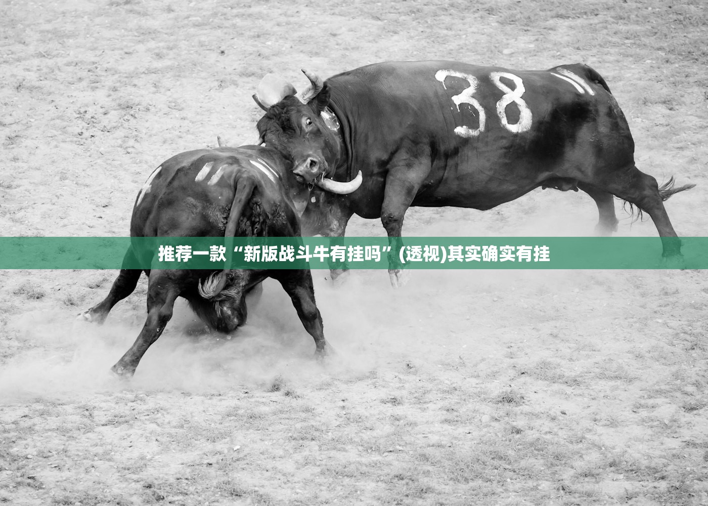 辅助开挂工具“新创游有挂吗有没有挂”详细开挂教程