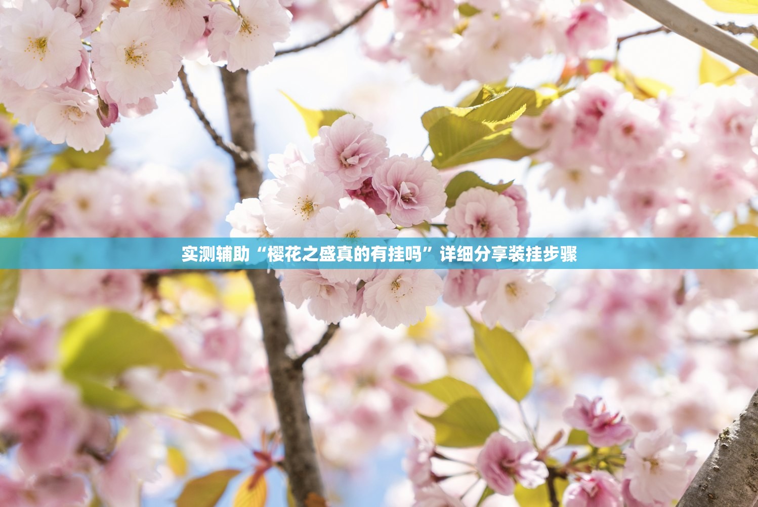 推荐一款“游米在线万能开挂神器(透视)”开挂辅助脚本+详细开挂安装教程