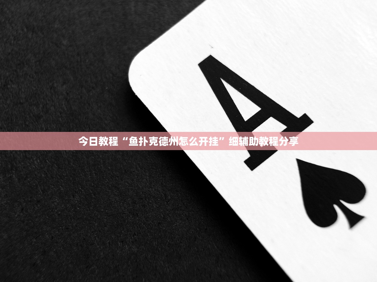 今日教程“鱼扑克德州怎么开挂”细辅助教程分享