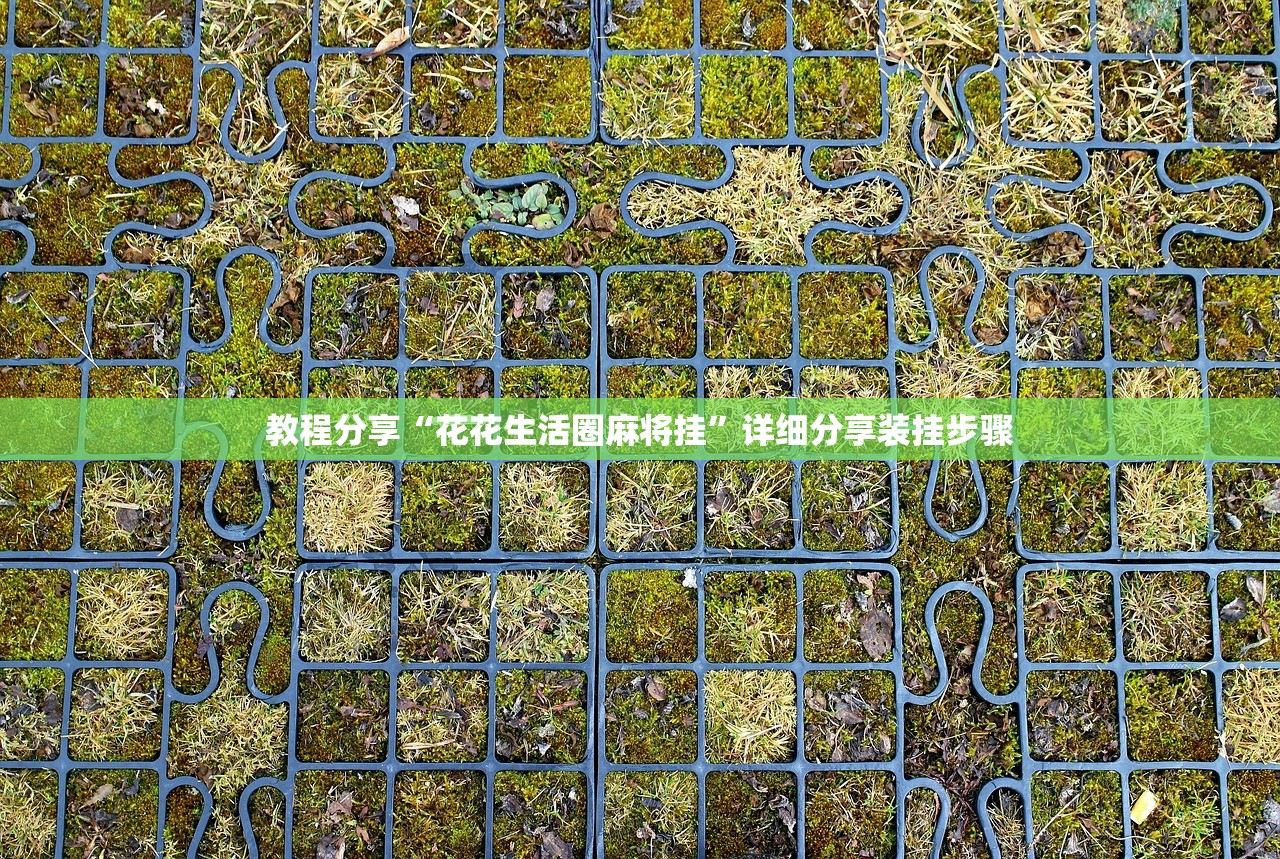 教程分享“花花生活圈麻将挂”详细分享装挂步骤