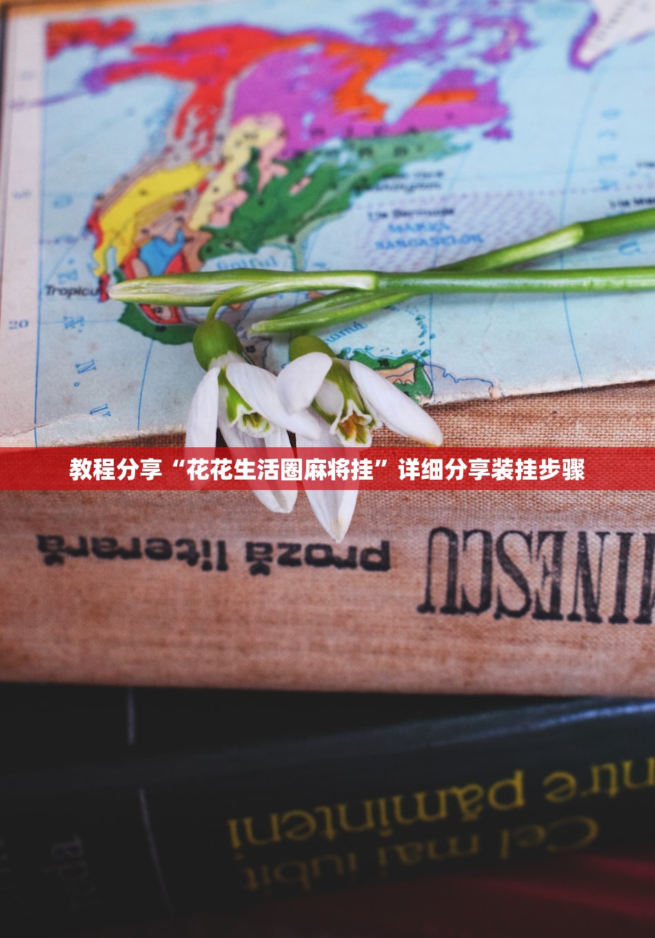 教程分享“花花生活圈麻将挂”详细分享装挂步骤
