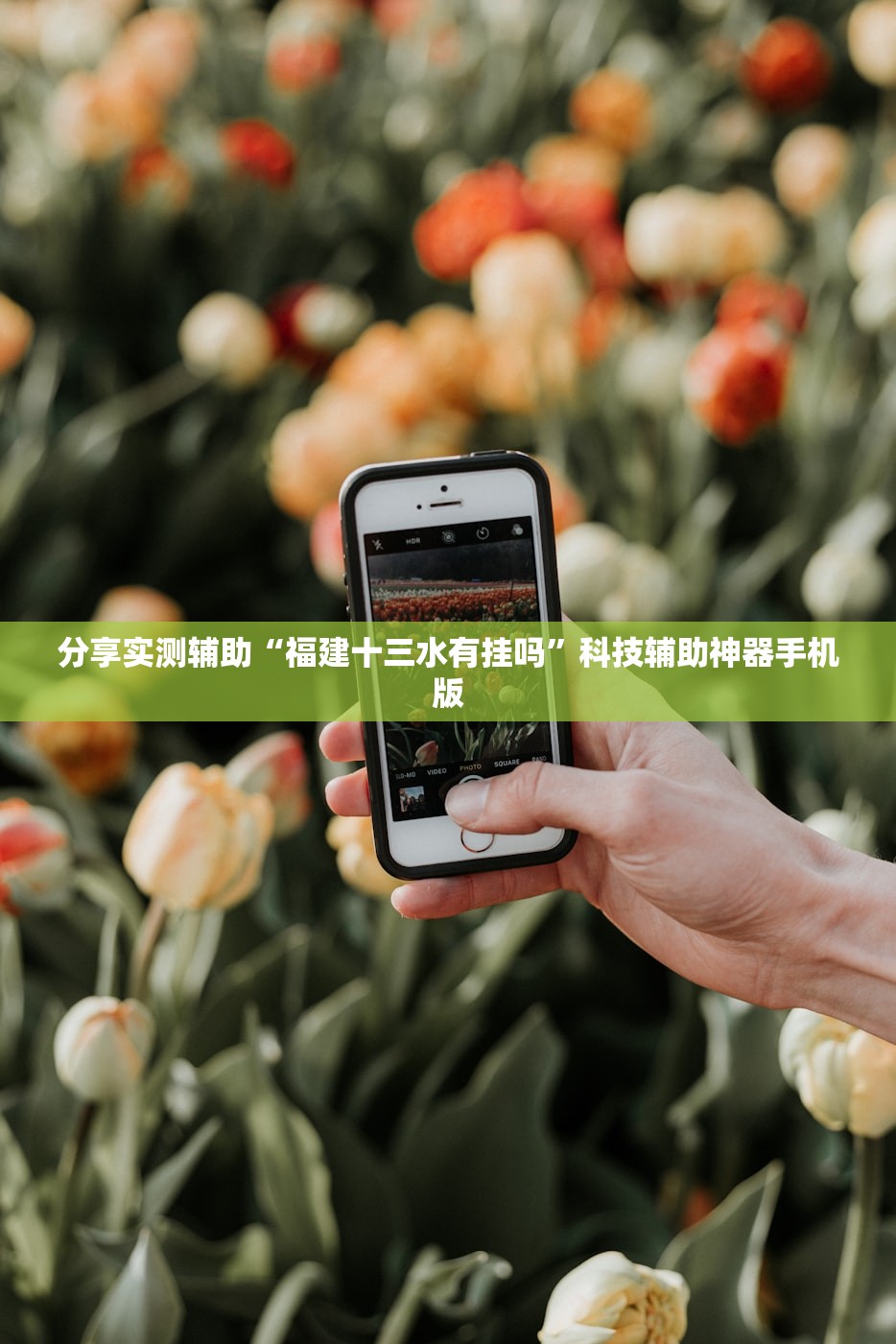 分享实测辅助“福建十三水有挂吗”科技辅助神器手机版