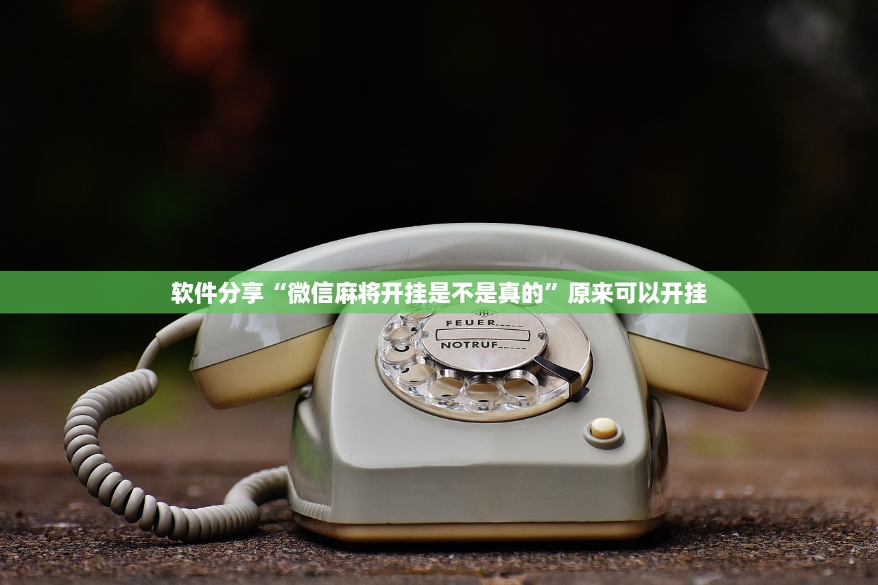 一键必胜“乐胡麻将陇南外卦辅助软件下载”开挂(透视)最新辅助详细