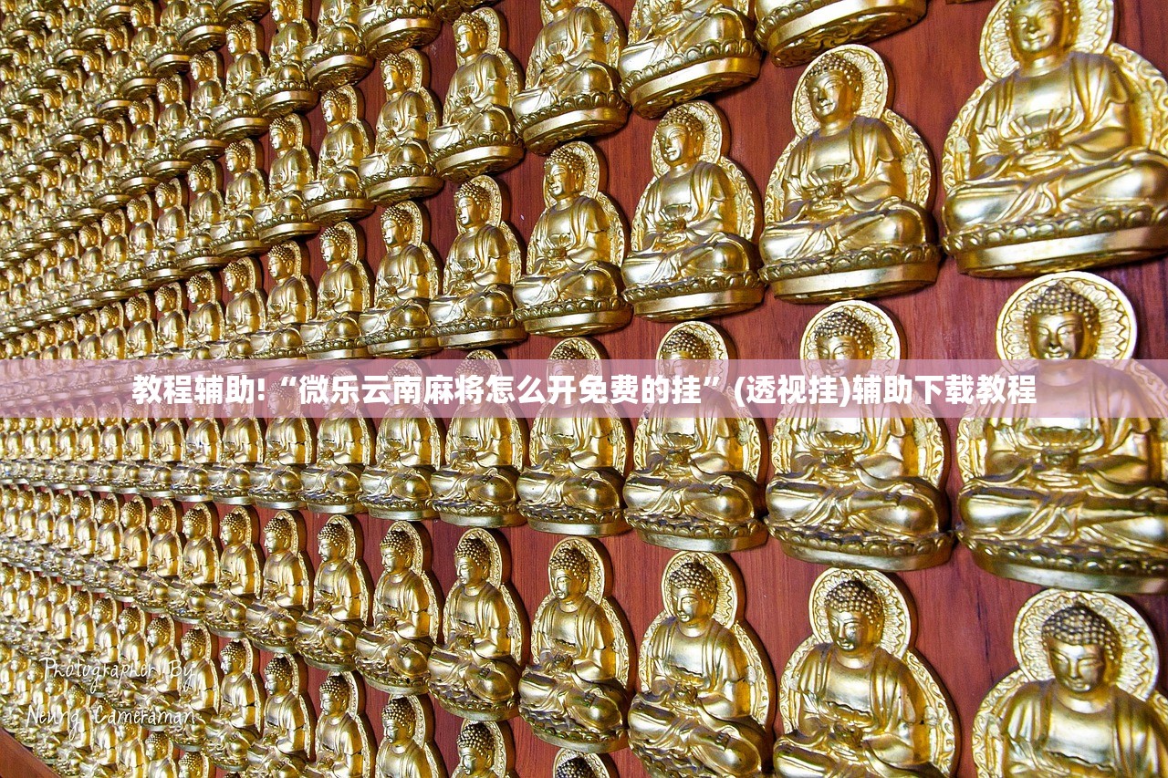 教程辅助!“微乐云南麻将怎么开免费的挂”(透视挂)辅助下载教程