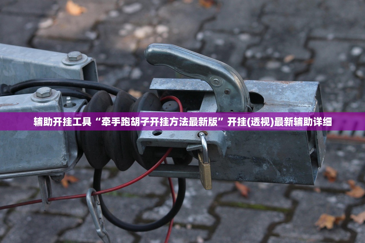 辅助开挂工具“牵手跑胡子开挂方法最新版”开挂(透视)最新辅助详细