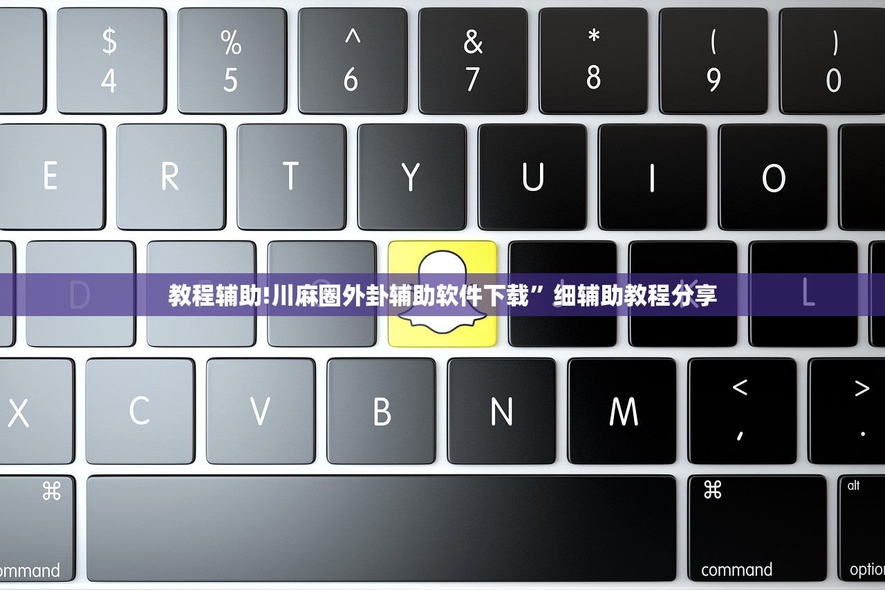 教程辅助!川麻圈外卦辅助软件下载”细辅助教程分享
