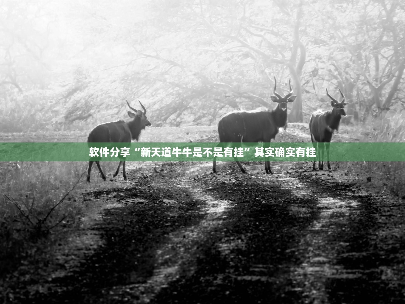 辽宁省最新疫情通报:辽宁省最新疫情情况60例都是哪里