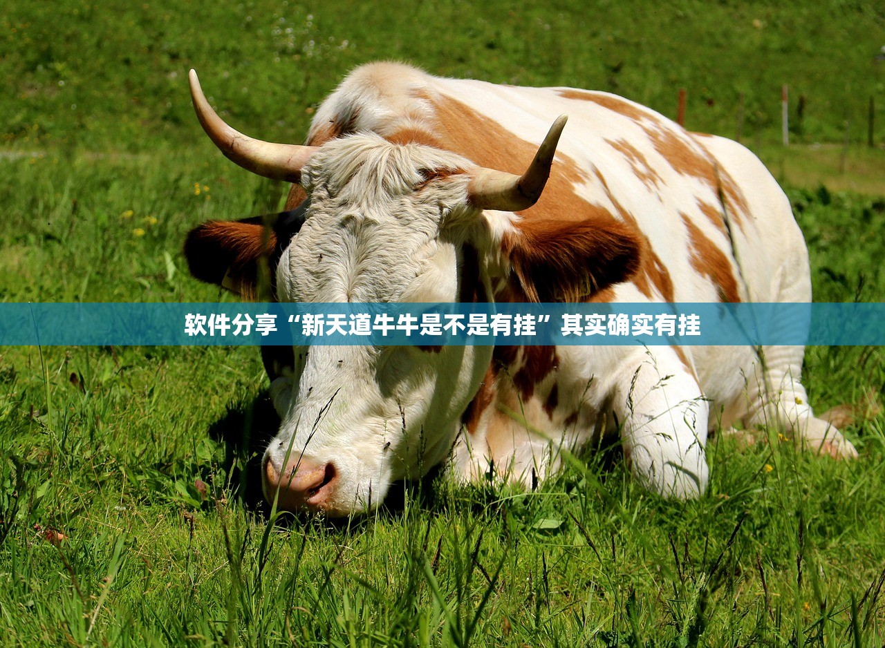 软件分享“新天道牛牛是不是有挂”其实确实有挂