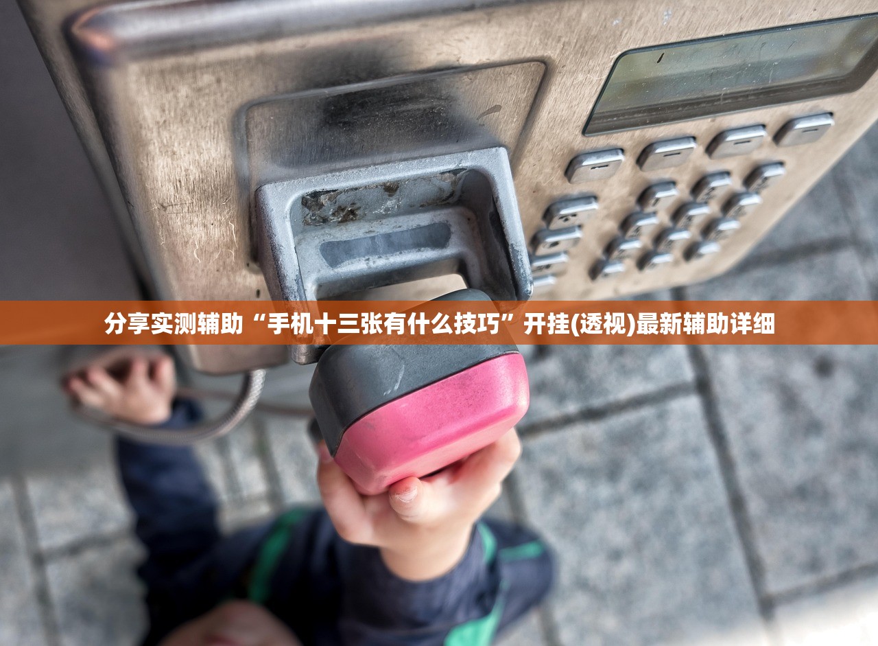 分享实测辅助“手机十三张有什么技巧”开挂(透视)最新辅助详细